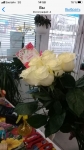 Цветы с доставкой в город Ипатово (Ставропольский край)