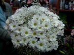 Цветы с доставкой в город Заполярный (Мурманская область)